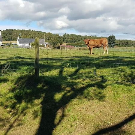 Cosy 2 Bedroom Croft Cottage With Beautiful Views North Kessock Exterior foto